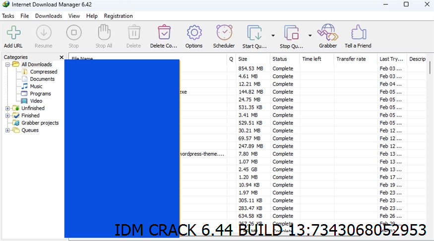 Idm Crack 6.44 Build 13 Screenshot